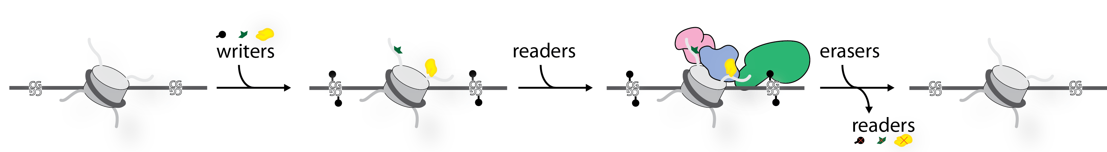 Marcus D Wilson Edinburgh schematic